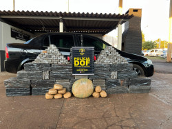 Polícia apreende carga de droga avaliada em R$ 1,1 milhão e motorista é preso