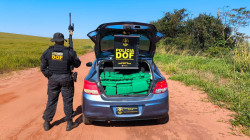 Carro furtado em MG é apreendido com quase 400 quilos de drogas; motorista é preso