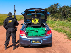 Carro furtado em MG é apreendido com quase 400 quilos de drogas; motorista é preso