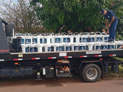 PM apreende grande quantidade de droga escondida em galões no Jardim dos Coqueiros