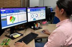 Governo disponibiliza Painel de Brucelose para fortalecer vigilância integrada