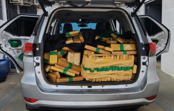 Motorista de caminonete é preso com quase uma tonelada de maconha na BR-163
