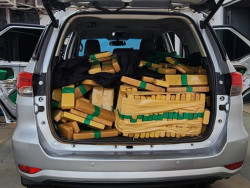 Motorista de caminonete é preso com quase uma tonelada de maconha na BR-163
