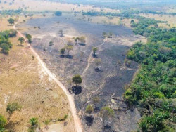 Incêndio que atingiu 5 propriedades rurais de Coxim é alvo de investigação do MP