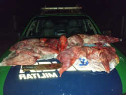 Polícia Ambiental apreende animais silvestres abatidos na Linha Internacional