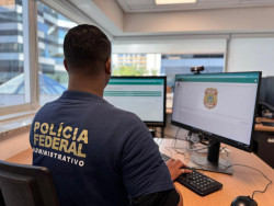PF disponibiliza painéis com dados sobre processos de CACs
