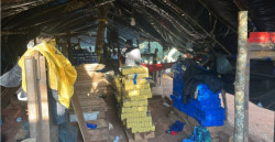 Senad desmantela megacentro de produção de maconha que abasteceria o Brasil