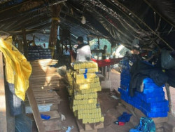 Senad desmantela megacentro de produção de maconha que abasteceria o Brasil