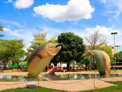 MP investiga ausência de vagas para cotistas em seleção de professores