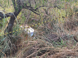 Picape Saveiro sai da pista e dois trabalhadores de usina morrem na MS-145