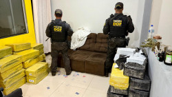 DOF apreende quase 1 tonelada de droga em entreposto e recupera veículo roubado