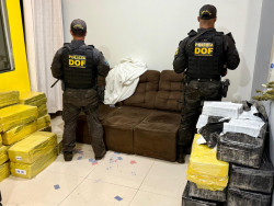 DOF apreende quase 1 tonelada de droga em entreposto e recupera veículo roubado
