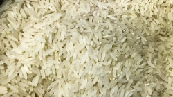 Brasil exporta 389,2 mil toneladas de arroz no primeiro semestre de 2025