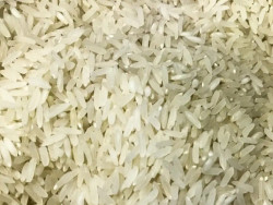 Brasil exporta 389,2 mil toneladas de arroz no primeiro semestre de 2025