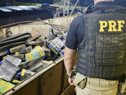 PRF apreende quase 9 toneladas de maconha em caminhão que saiu de MS