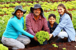 Novo recorde na agricultura familiar é projetado após movimentação de R$ 5,1 mi
