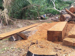 Promotoria instaura 3 inquéritos para apurar danos ambientais em Bonito