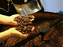 Tarifaço deve levar Brasil a ampliar mercado de café com a China