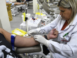 Hemosul abre sábado em horário especial para reforçar estoque de sangue