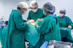 Aprovadas no Senado, novas leis oferecem mais proteção e saúde para mulheres