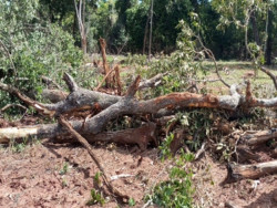 Justiça abre inquérito para apurar danos ambientais em áreas rurais