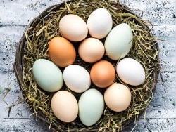 Ovos: Diferença de preço entre brancos e vermelhos atinge o menor patamar do ano