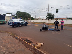 Motociclista fica ferida após atropelar cachorro na Avenida Coronel Ponciano
