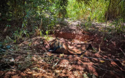 Imagens e laudos confrontam versão de homem que jogou corpo da amante em vala