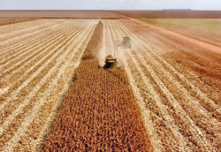 Agricultores de MS levam alimentos para o mundo e movimentam bilhões