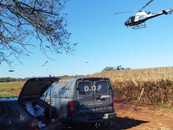 Com apoio aéreo, DOF apreende veículo carregado de cigarros na MS-465