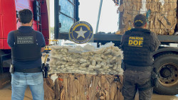 DOF e Receita Federal apreendem 102 quilos de haxixe em carreta de reciclagem