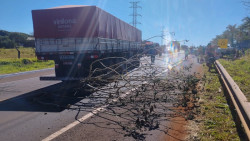 Após outra morte por atropelamento, indígenas bloqueiam Anel Viário, mas pista já foi liberada