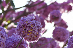 Alta pressão mantém tempo seco, mas frente fria pode provocar mudanças na próxima semana