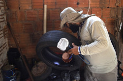 Mato Groso do Sul registra 7.636 casos de dengue e investiga 7 mortes