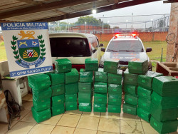 Motorista é preso com 1 tonelada de maconha na fronteira de MS