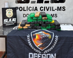 SIG e Defron desmantelam entreposto e apreendem 40 quilos de maconha