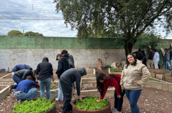 Fundect garante projeto em que aulas de matemática ganham vida com horta geométrica