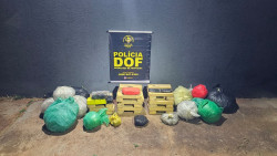 DOF apreende maconha e skunk abandonadas em rodovia de MS