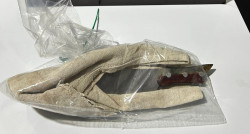 Adolescente de 15 anos é detida acusada de tentar roubar motorista de aplicativo