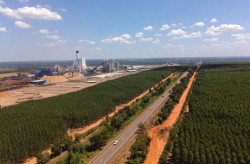 Comissão de licitação define recurso sobre Rota da Celulose e dá prazo a convocação