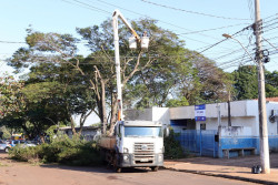 Prefeitura melhora infraestrutura e faz podas de árvores no posto de saúde do 4º Plano