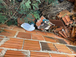 Acusado de atirar contra ex-cunhado é preso pelo SIG na Aldeia Jaguapiru