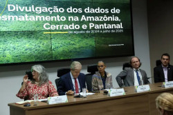 Em 12 meses, desmatamento cai 20% no Cerrado e sobe 4% na Amazônia