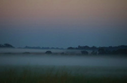 Cemtec-MS alerta para nova onda de frio com termômetros podendo chegar a 0°C