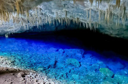 MS estará presente no Workshop Brasil Diversa voltado para turismo inclusivo e sustentável