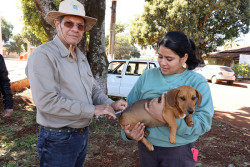 Município intensifica vacinação antirrábica e oferece diversos pontos para imunização