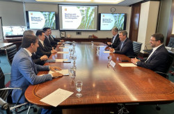 Singapura mira tilápia de Mato Grosso do Sul em meio à sobretaxa dos EUA