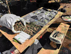 Senad desmonta laboratório com maconha pronta para ser entregue ao Brasil