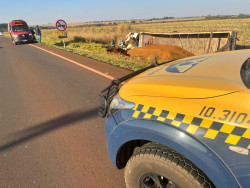 Carreta tomba ao sair da pista e caminhoneiro de 40 anos morre na MS-162