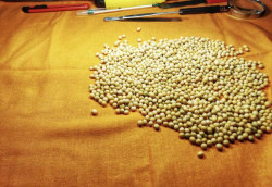 Aprosoja participa do Seminário Desafios da Liderança Brasileira